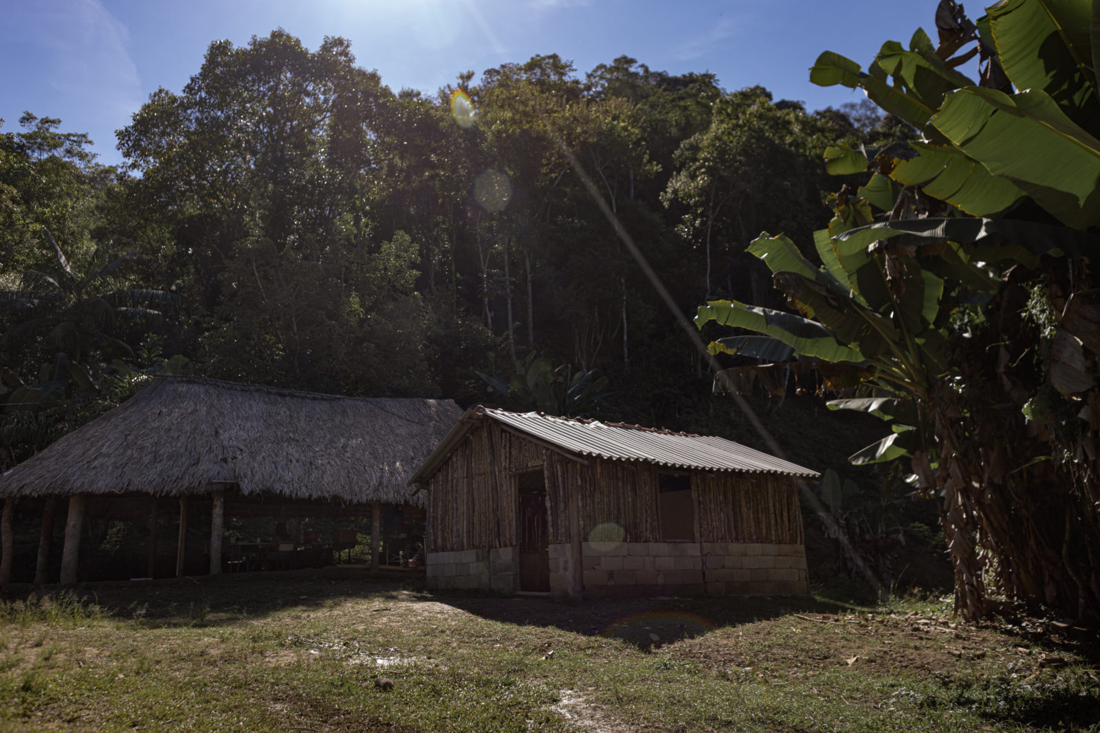 A photo of a thatched roof building