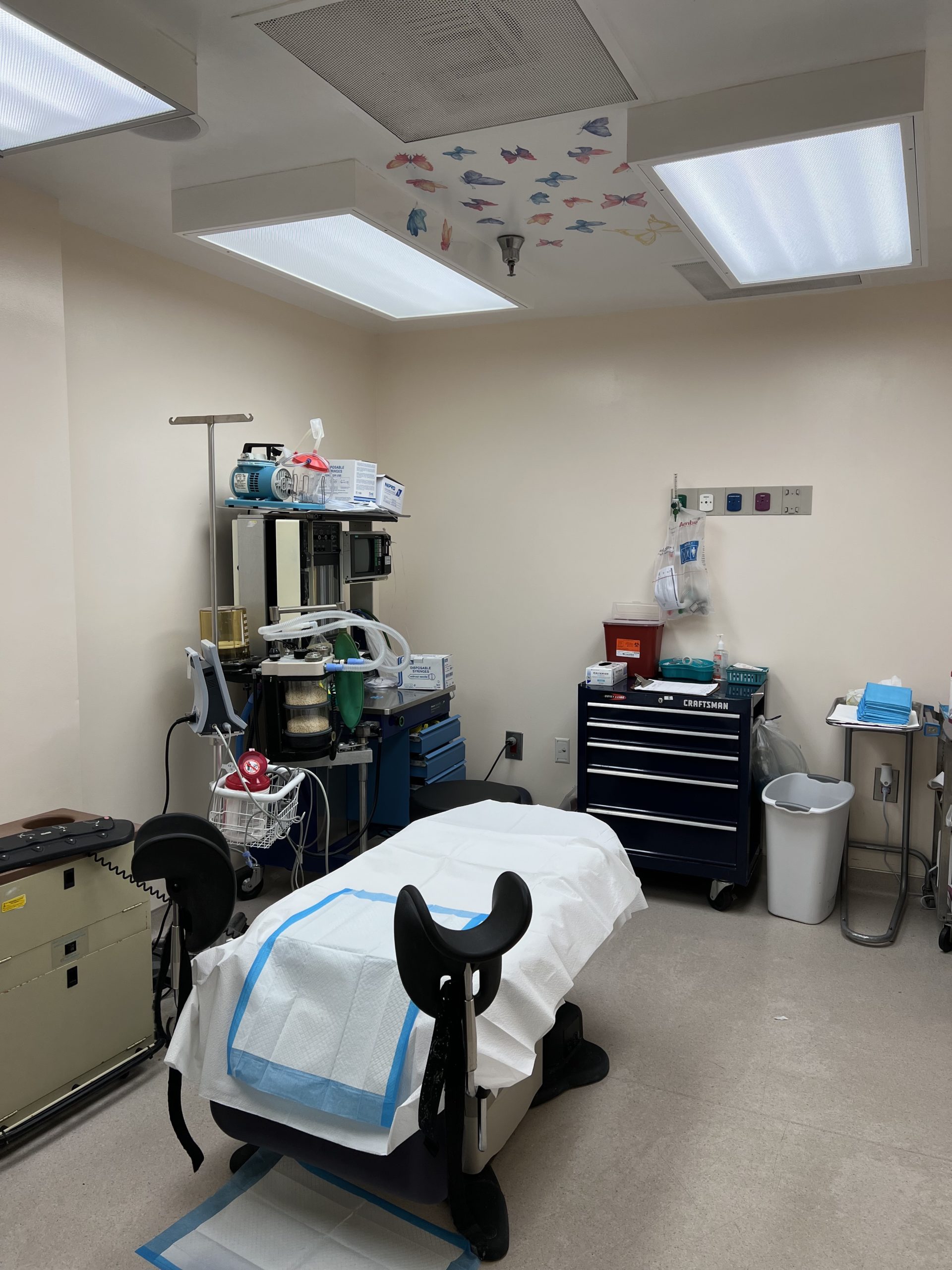 An abortion procedure room with a bed surrounded by tools to perform an abortion.